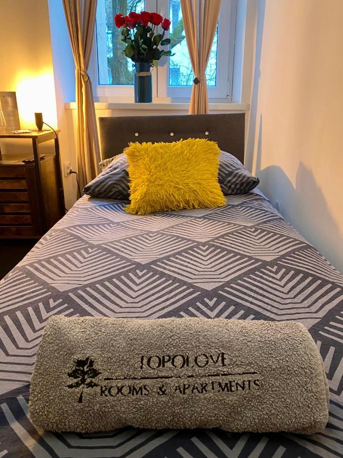 Topolove Rooms & Apartments 克拉科夫 外观 照片
